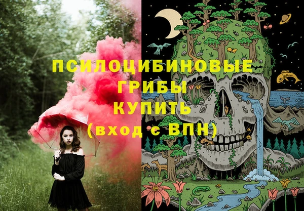 ешки Алзамай