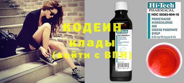 ешки Алзамай