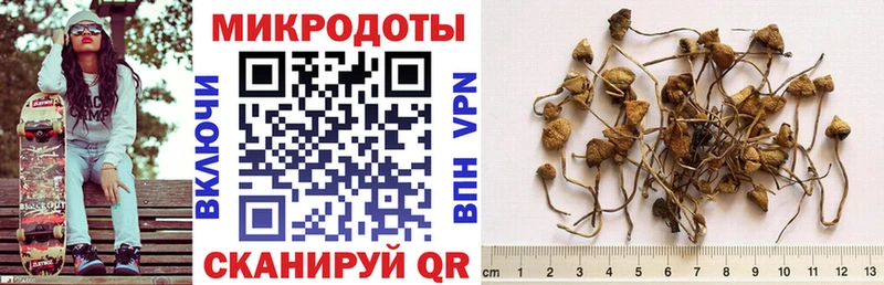 Галлюциногенные грибы мухоморы  Тогучин 